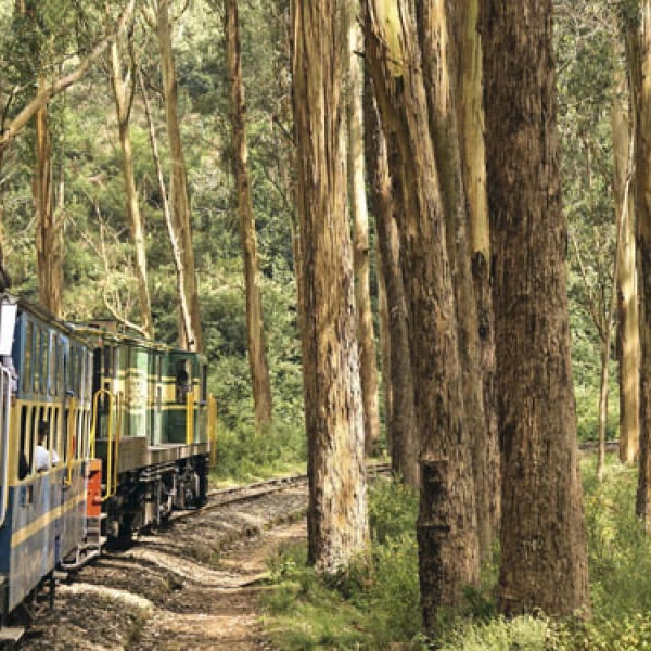 OOTY SPECIAL TOUR.jpg